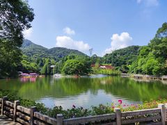 -广州市帽峰山景区