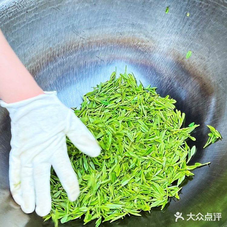 杭州春日好去处｜梅家坞香芙茗楼品味茶文化 春天的杭州
