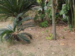 -咸宁万豪温泉谷度假区