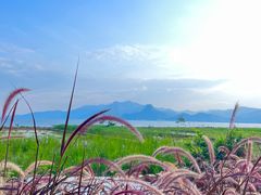 -抚仙湖禄充风景区