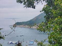 -西涌国际滨海旅游区