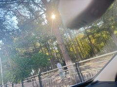 -长春市南湖公园