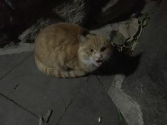 -瓦厂酒店