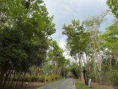 -中国科学院西双版纳热带植物园