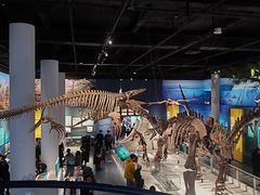 -国家自然博物馆