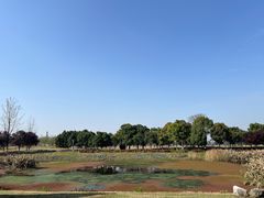 -两河城市森林公园