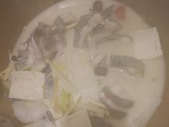 鮰鱼-云中鱼蒸汽石锅鱼(川沙百联店)