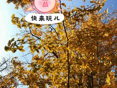 -金陵图书馆