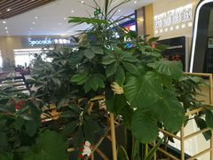 -北京世纪金源购物中心(远大路店)