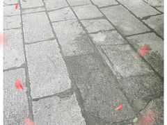 -辛亥革命博物院北区