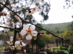-孙武文化园-停车场