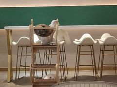-飞行喵MR PILOT|猫舍·猫咖(静安大融城店)