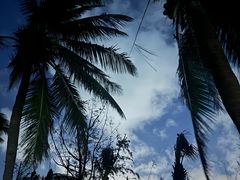 -白沙门生态公园