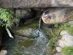 -汤泊温泉度假村