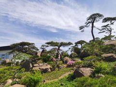 -罗红摄影艺术馆