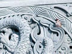 -天津妈祖文化园