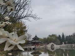 -莲池书院博物馆