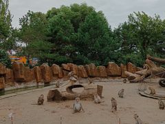 -齐齐哈尔龙沙动植物园