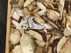 -草墩罗非鱼庄•野生菌•腊排骨(七星街上段店)