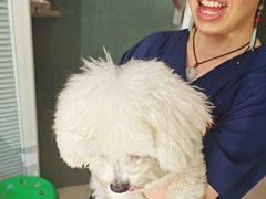 -福懋动物医院·犬猫全科·外科·重症科(杏林分院)