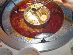-晓宇重庆火锅(赛格国际购物中心店)