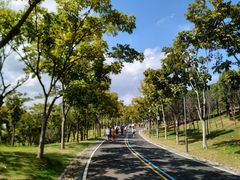 -牛岗山公园