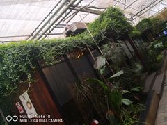 -金稼园·金平湖农家菜