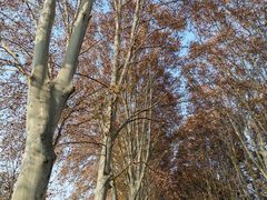 -河南省黄河迎宾馆