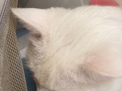 -美联众合动物医院·24h京西诊疗中心