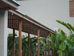 -泽雅景区