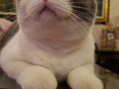 -康乐宝动物医院