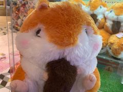 -LLJ夹机占(清河万象汇店)