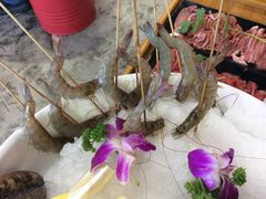 -捞围鲜·港式打边炉(海阳路店)