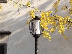 -老门东历史文化街区