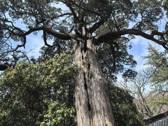 -青岛崂山太清宫