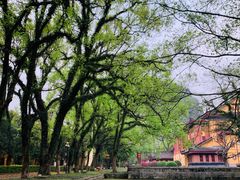 -桂林独秀峰王城景区