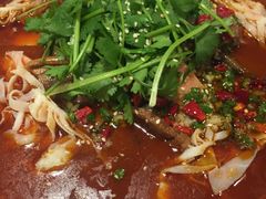 -阿英煲(凉城路店)