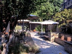 -Willing·Coffee&Brunch&Dinner(万达店)