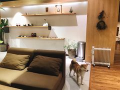 -柴务处·柴犬主题狗咖