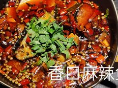 -安多素食(广仁寺路店)