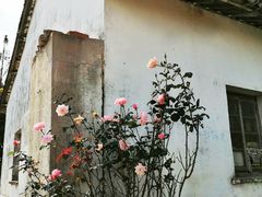 -皓晶庄园