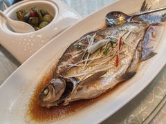 清蒸武昌鱼-亢龙太子酒轩·花园店