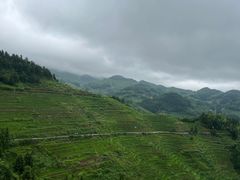 -紫鹊界梯田景区