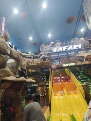 -卡通尼·Safari非洲探索乐园·生日会(金桥国际商业广场店)