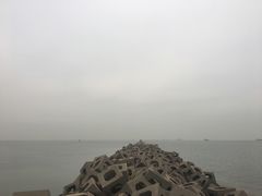 -东疆建设开发纪念公园