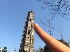 -上海佘山国家森林公园天马山园