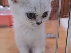 -龟与熊猫宠物公园(南坪店)