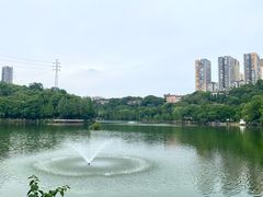 -重庆彩云湖湿地公园