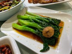 白灼广东菜心-顺风海鲜港(长寿路店)