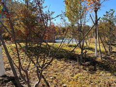 -回龙观体育文化公园